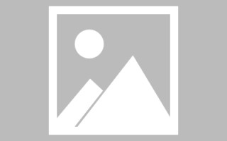 南县网页设计师周记（网页设计周记26篇300字）