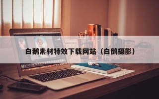 南县白鹅素材特效下载网站（白鹅摄影）